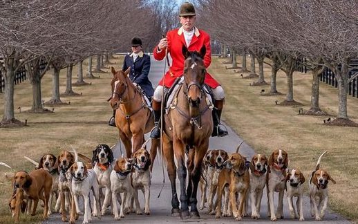 Home Kelly E1761690053471