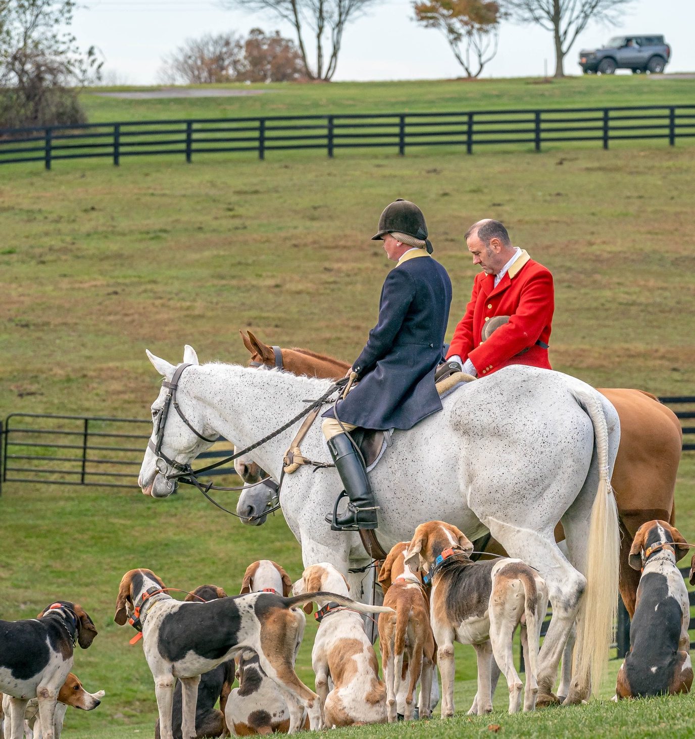 blessing of the hounds 2